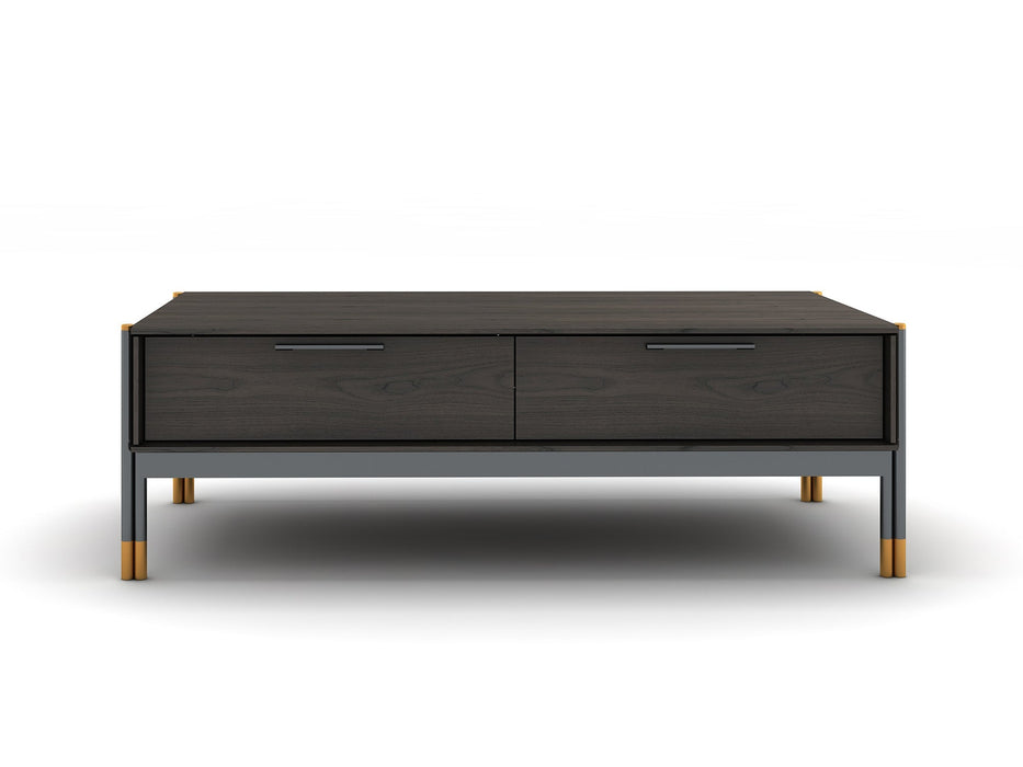 Bosa 48.8" Wide 2 Drawer Coffee Table