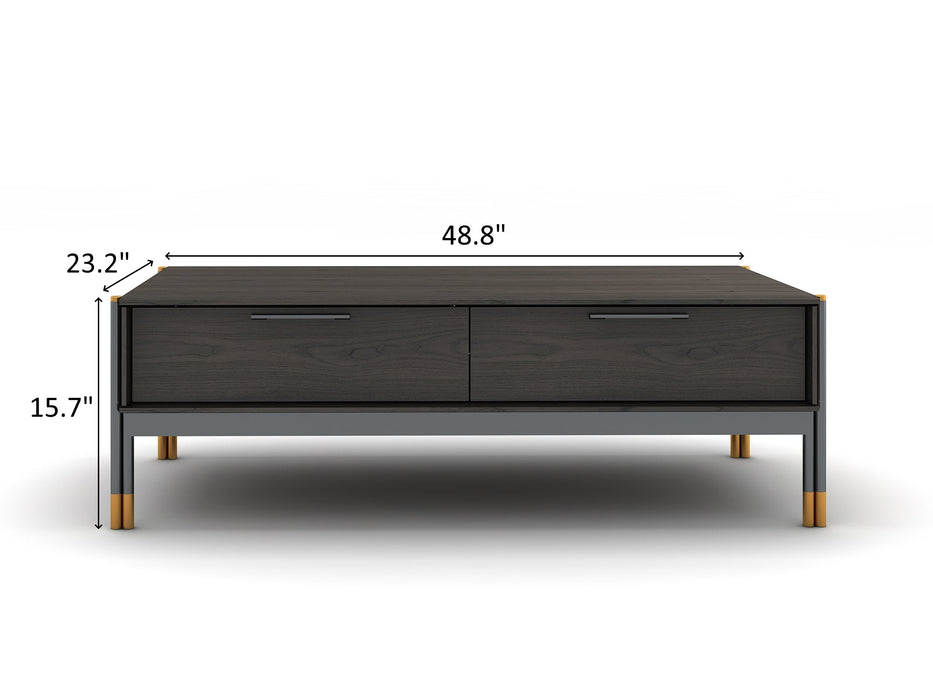 Bosa 48.8" Wide 2 Drawer Coffee Table