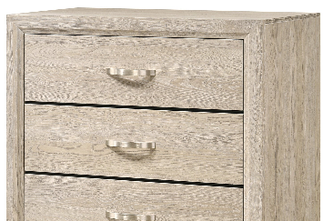 Akerson Driftwood Chest