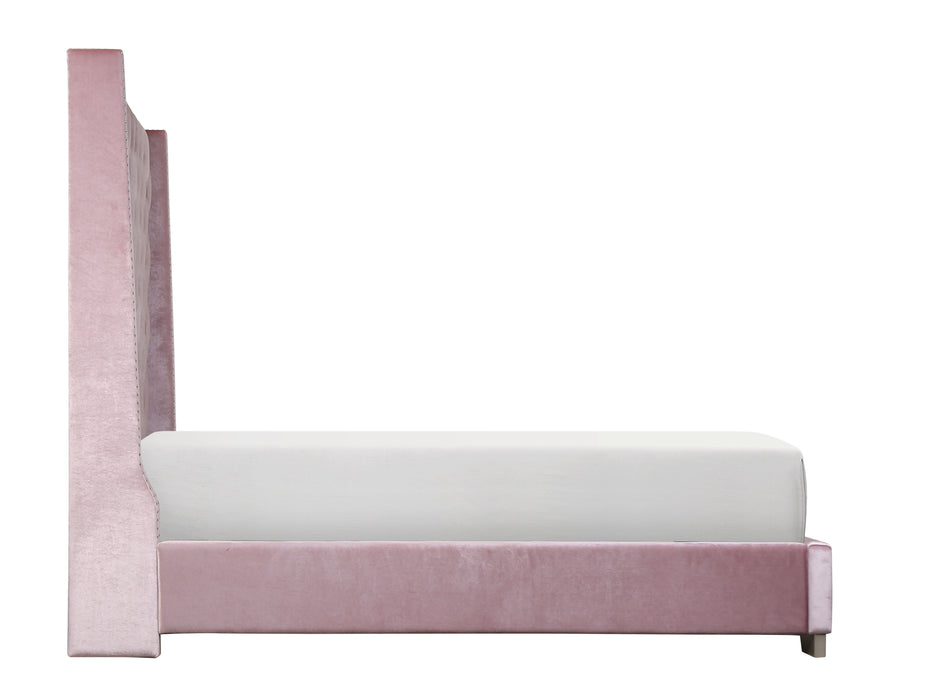 Franco Pink Velvet Queen Upholstered Bed