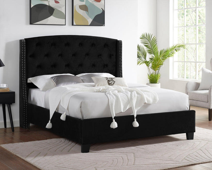 Eva Black Velvet King Upholstered Bed