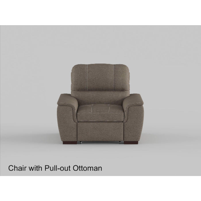 Andes Gray Chair with Pull-out Ottoman