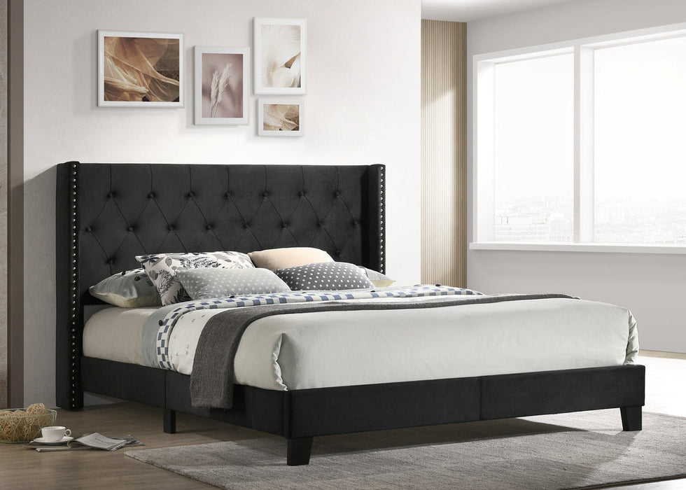 Moonstar Black Queen Platform Bed