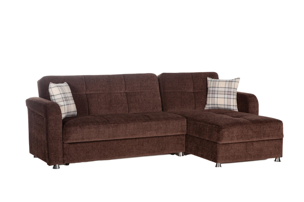 Vision Sectional