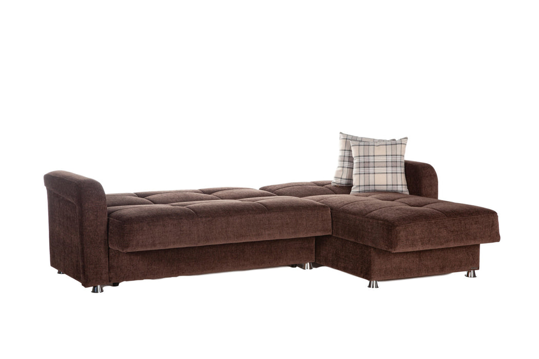 Vision Sectional