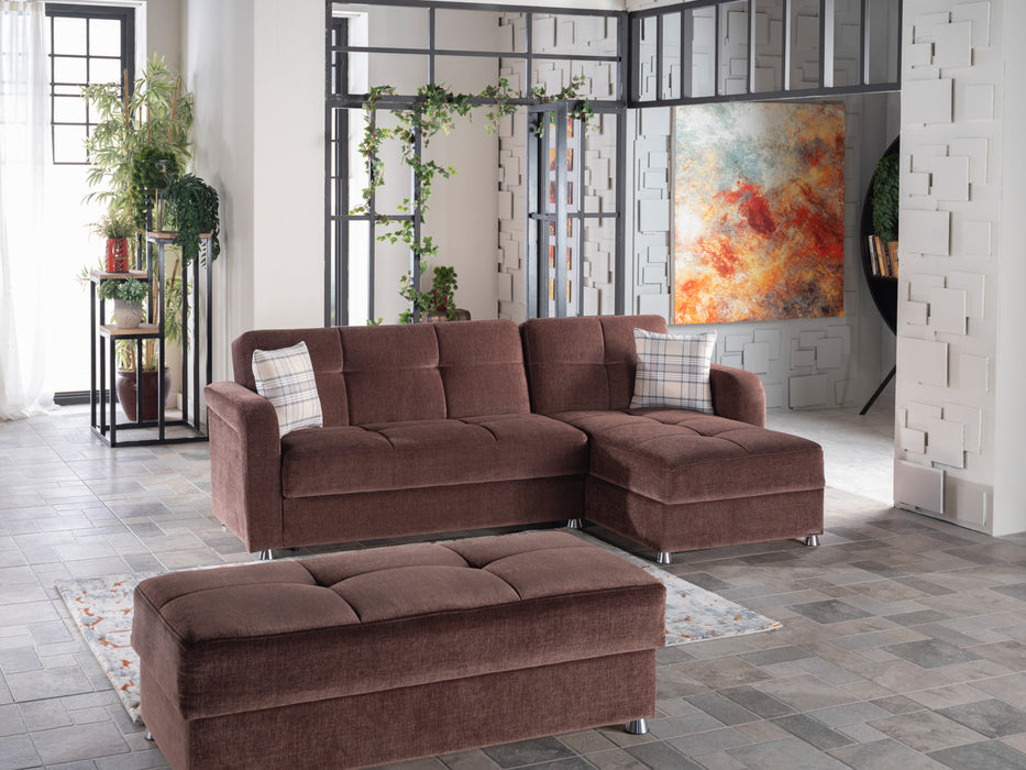 Vision Sectional