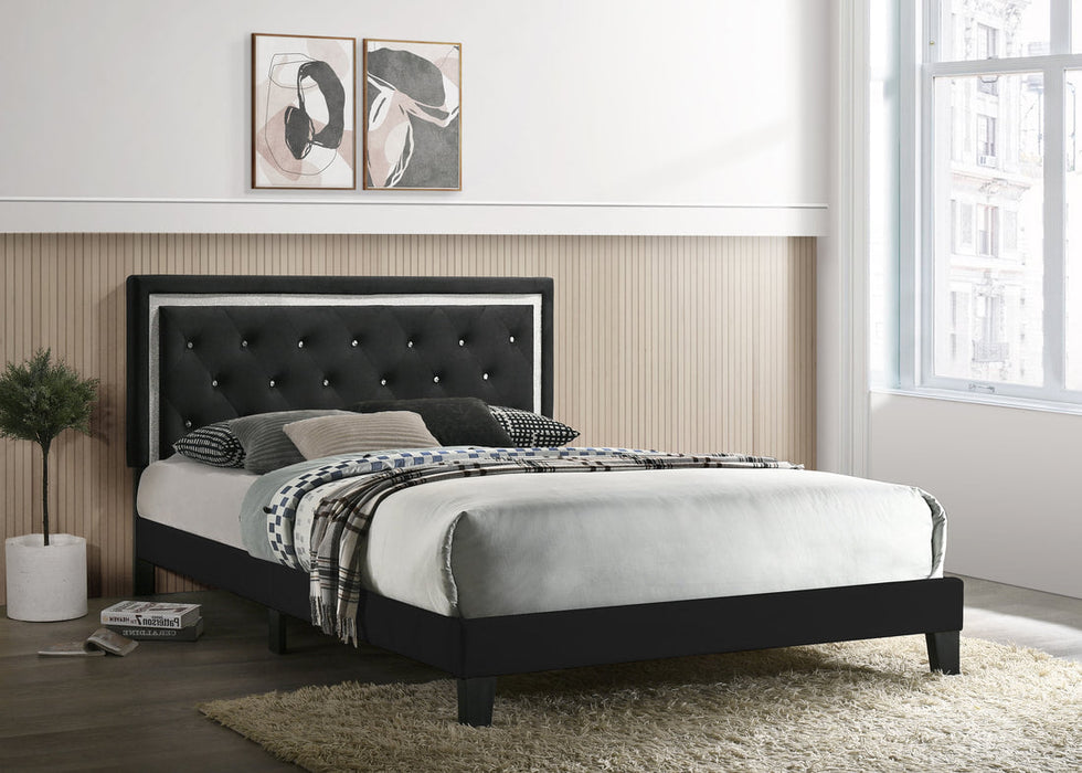 Passion Black Queen Platform Bed